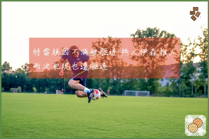 特雷杨因不满被驱逐 热火伊森推人两次犯规也遭驱逐