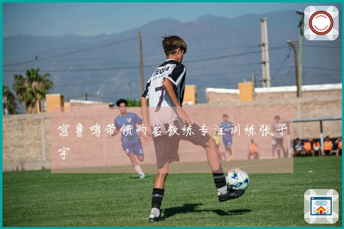 宫鲁鸣带领两名教练专注训练张子宇